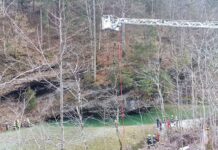 Mensch Hund Rettung aus eiskaltem Fluss