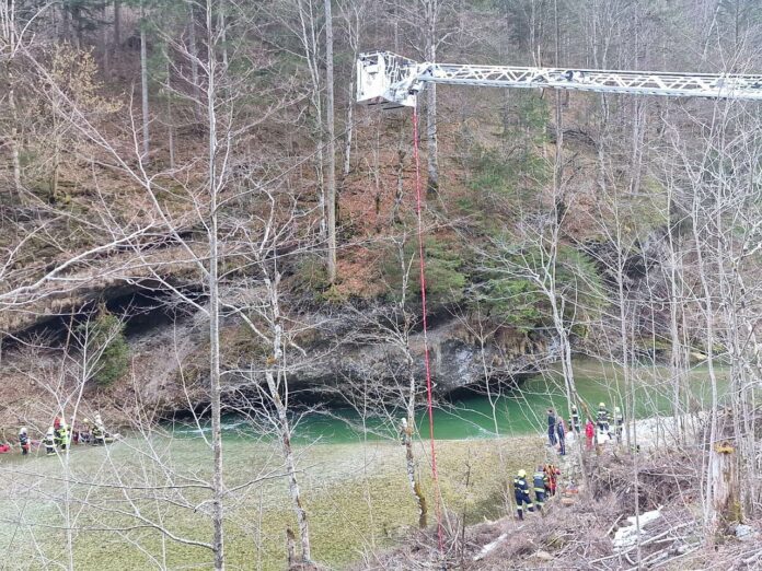 Mensch Hund Rettung aus eiskaltem Fluss