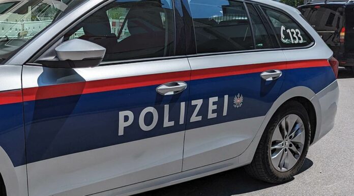 Hundehalter beißt eigenen Hund und leistet Polizei Widerstand Polizei