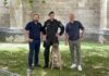 BMI Polizeidiensthunde