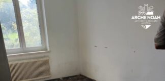 Hunde Urlaub zurück gelassen