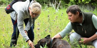 Giftpflanzen Spürhunde