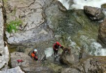 Hunderettung im Tennengau