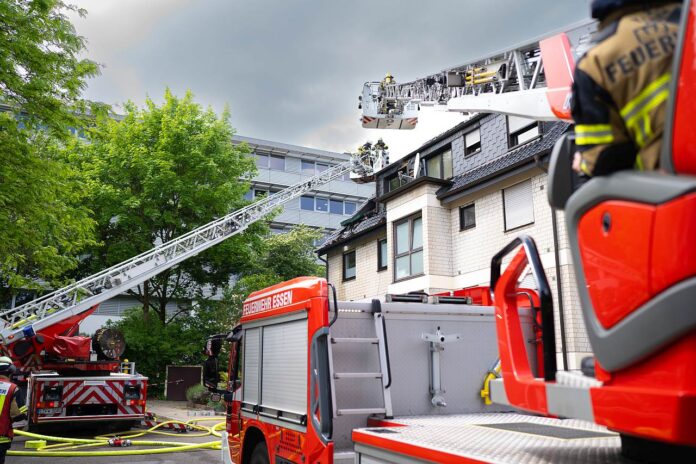Feuerwehr Essen rettet Hund