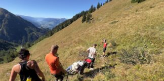 Kreuzotter beißt Hund Bergrettung