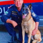 Vor dem Ruhestand: Polizeidiensthund spürt Abgängigen auf Polizeihund Max