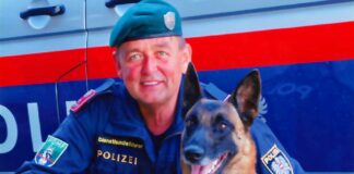 Polizeihund Max
